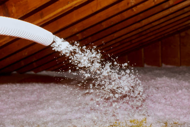 Best Insulation Maintenance and Repair in Lafayette, CO