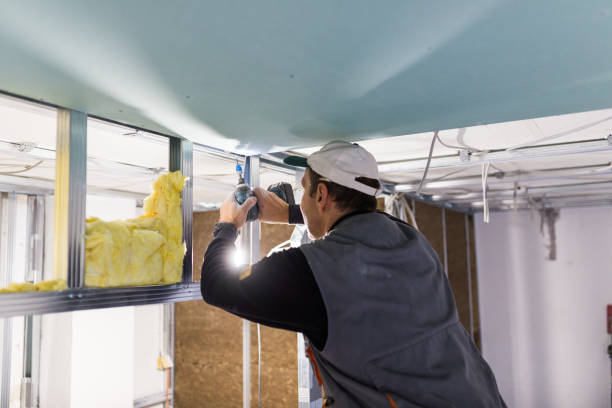 Best Commercial Insulation in Lafayette, CO