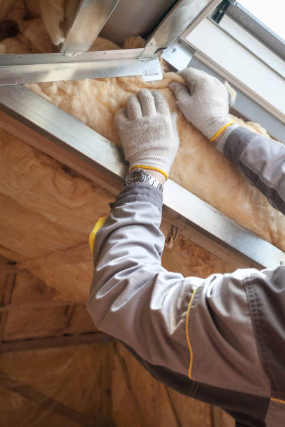 Best Residential Insulation in Lafayette, CO